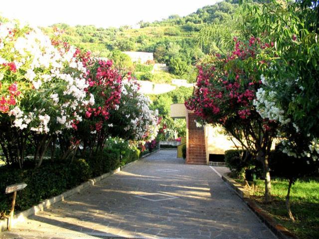 Villaggio Hotel Club Calanovellamare Piraino Luaran gambar
