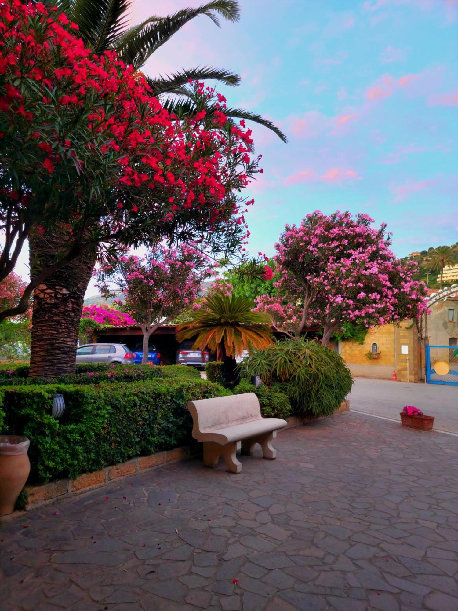 Villaggio Hotel Club Calanovellamare Piraino Luaran gambar